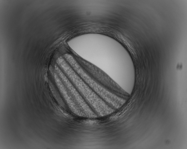 X0000098070313200804251444