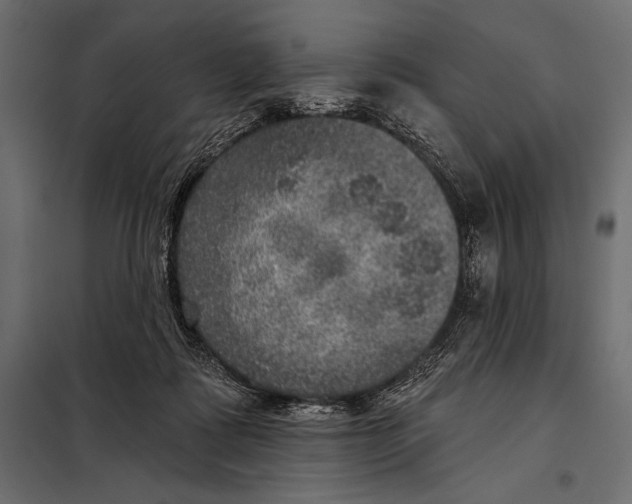 X0000098070315200804251444