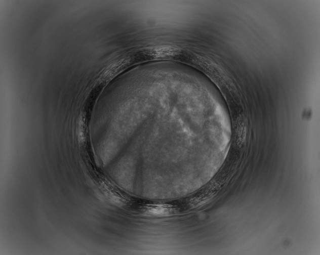 X0000098070316200804251444