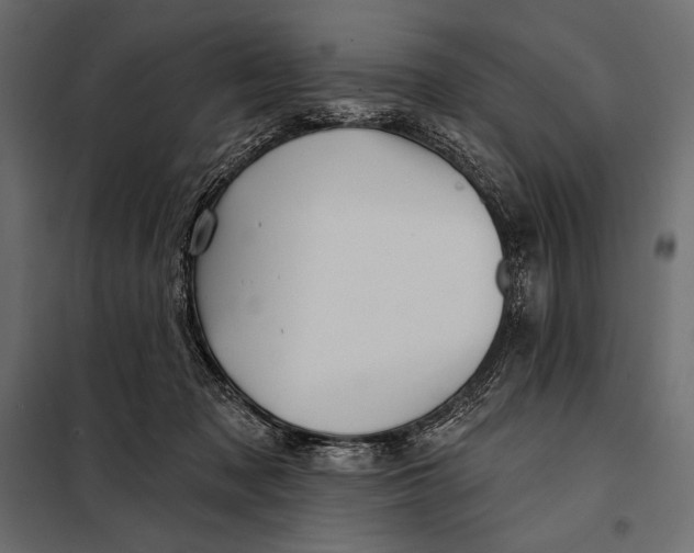 X0000098070317200804251444