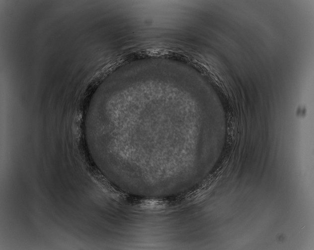 X0000098070319200804251444