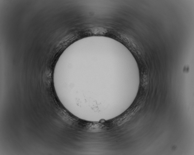 X0000098070321200804251444