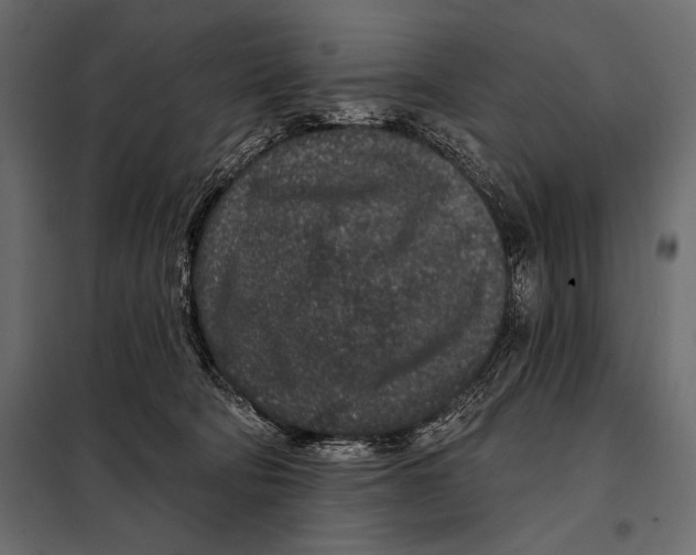 X0000098070322200804251444