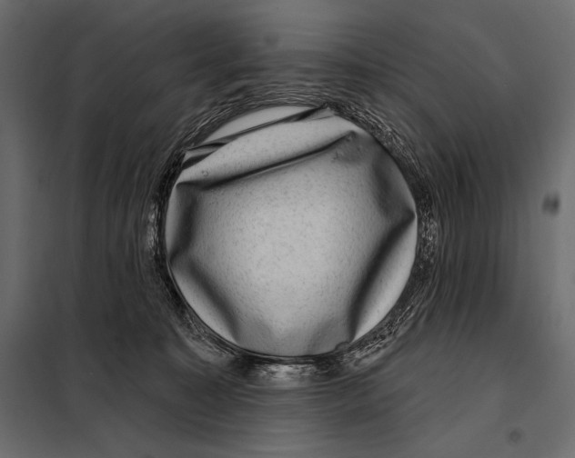 X0000098070323200804251444