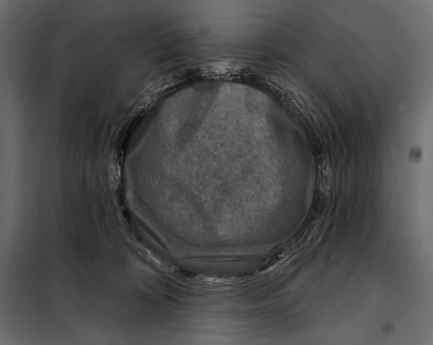 X0000098070324200804251444