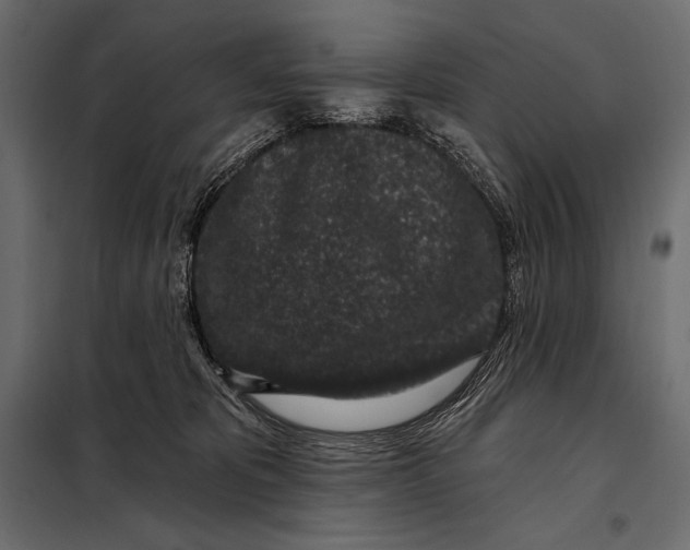 X0000098070325200804251444