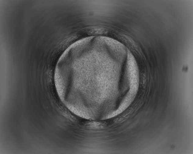 X0000098070326200804251444