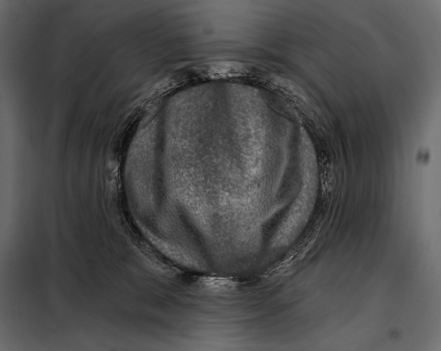 X0000098070327200804251444