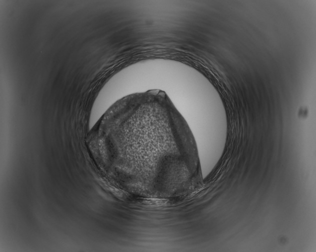 X0000098070328200804251444