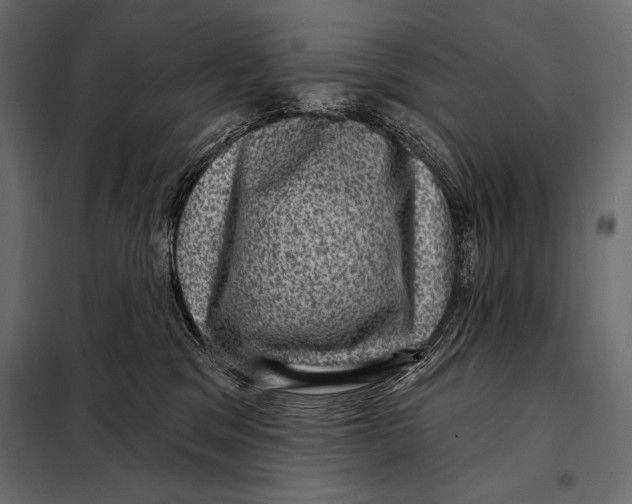 X0000098070329200804251444