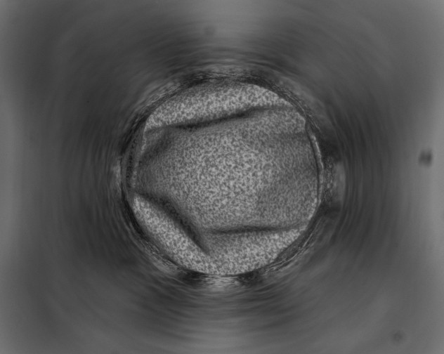 X0000098070333200804251444