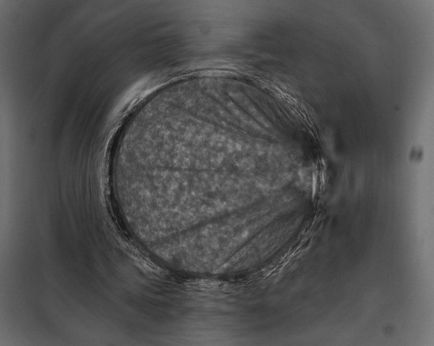 X0000098070339200804251443