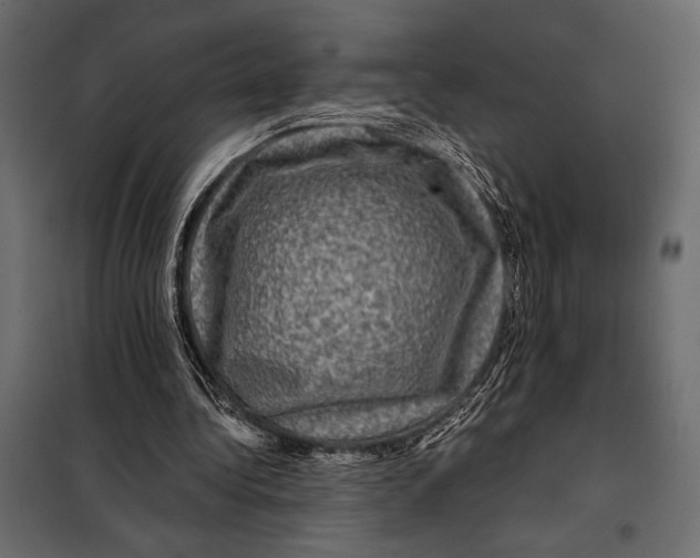 X0000098070340200804251443