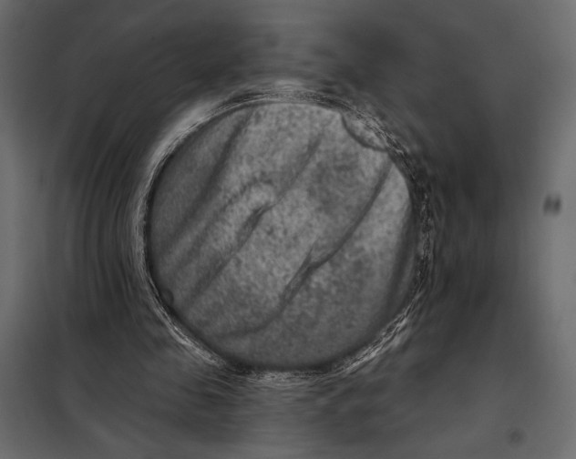 X0000098070341200804251443