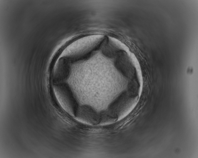 X0000098070342200804251443