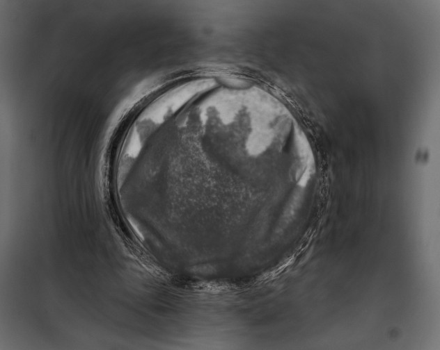 X0000098070343200804251443