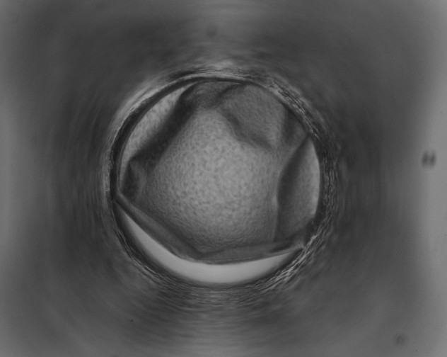 X0000098070344200804251443