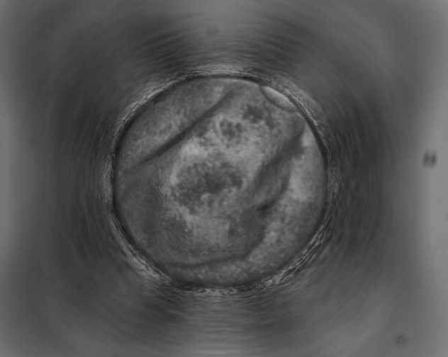 X0000098070345200804251443