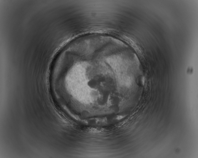 X0000098070346200804251443