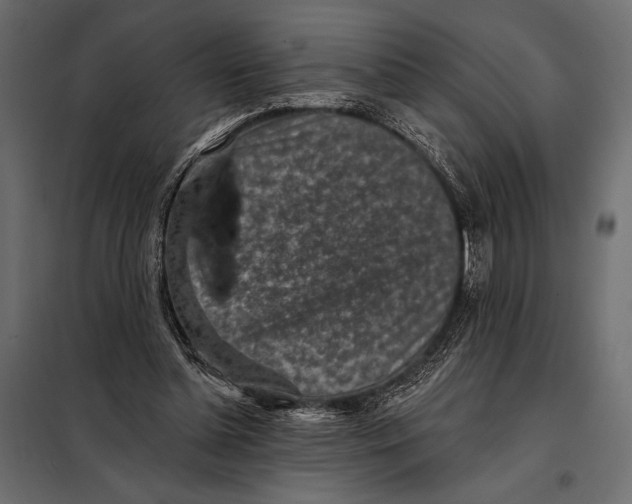 X0000098070348200804251443