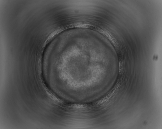 X0000098070349200804251443