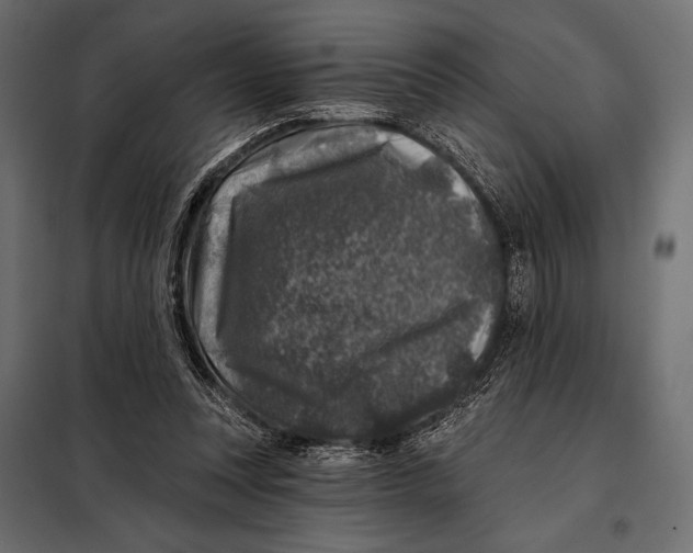 X0000098070351200804251443