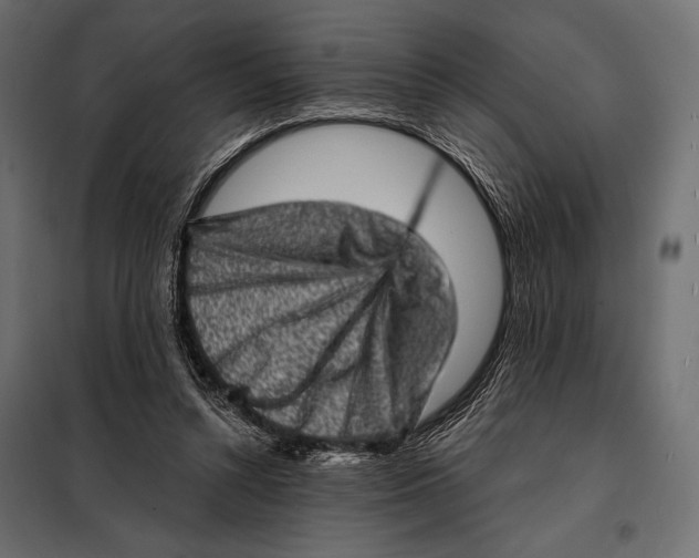 X0000098070352200804251443