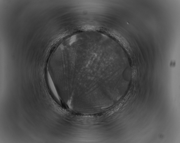 X0000098070353200804251443