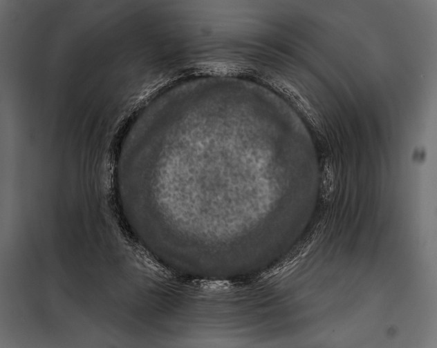 X0000098070355200804251443