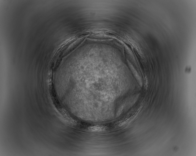 X0000098070356200804251443