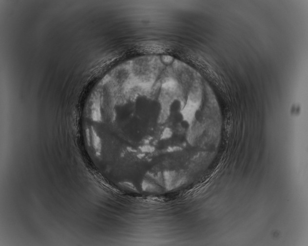 X0000098070359200804251443