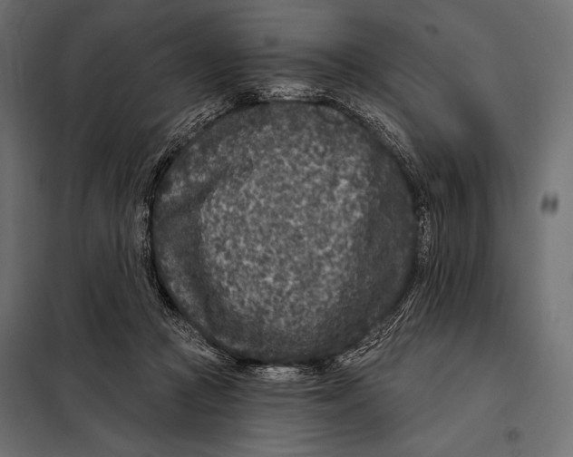 X0000098070361200804251443