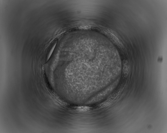 X0000098070363200804251443