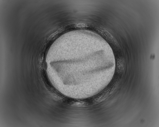 X0000098070364200804251443