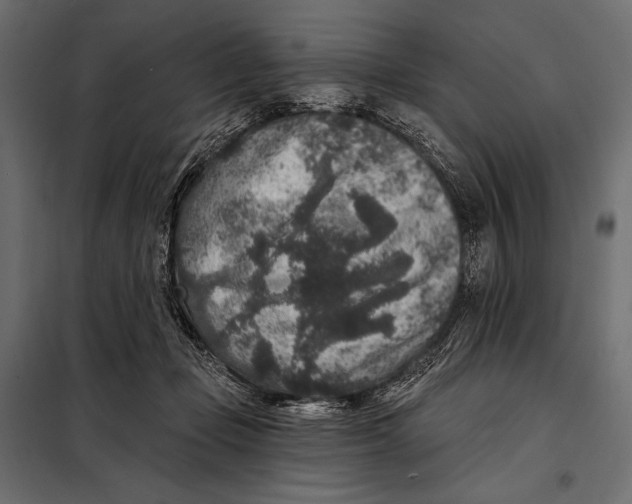 X0000098070365200804251443