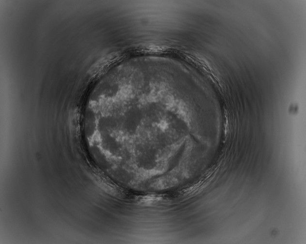 X0000098070366200804251443