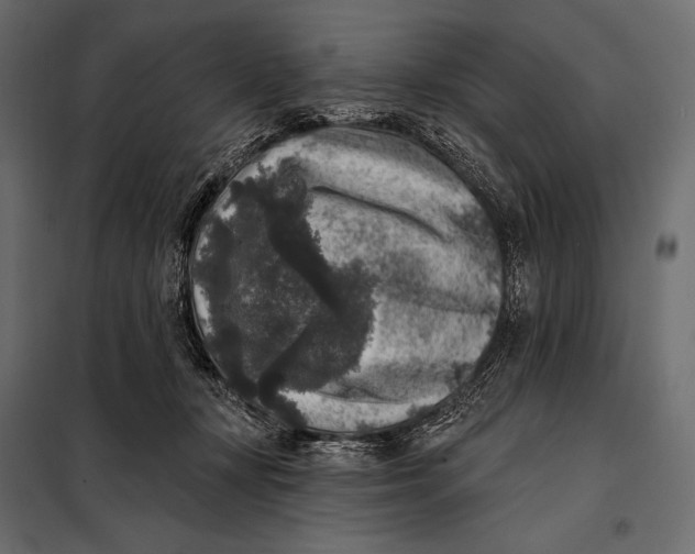 X0000098070367200804251443