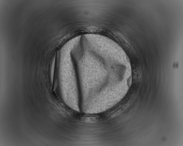 X0000098070368200804251443