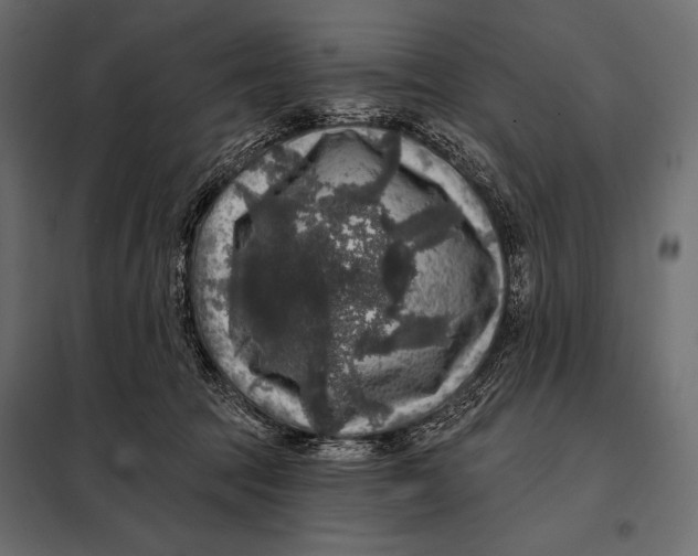 X0000098070369200804251443