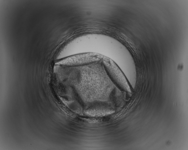 X0000098070370200804251443