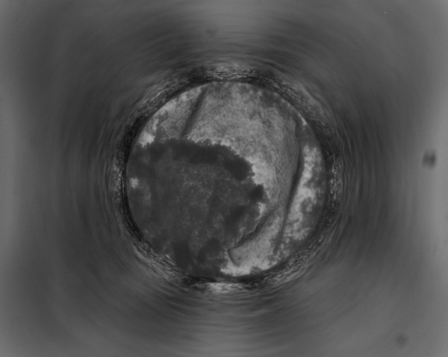 X0000098070371200804251443