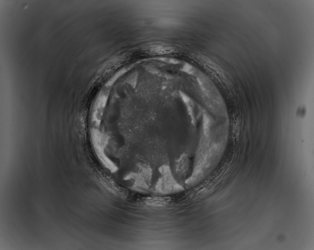 X0000098070373200804251443