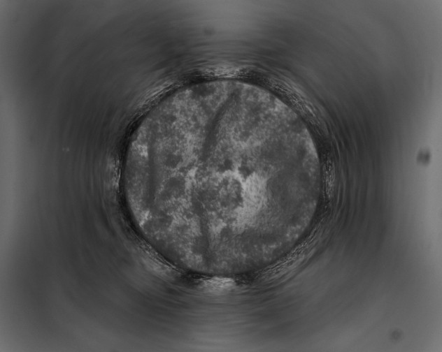 X0000098070374200804251443