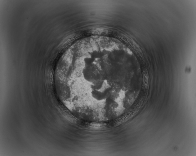 X0000098070375200804251443