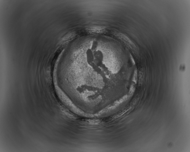 X0000098070377200804251444