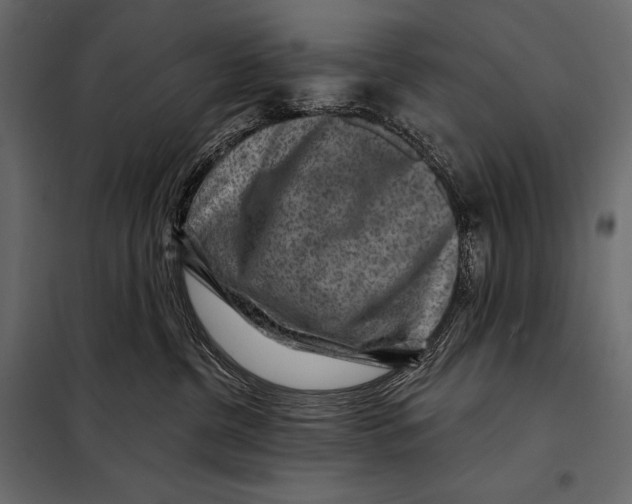 X0000098070380200804251444