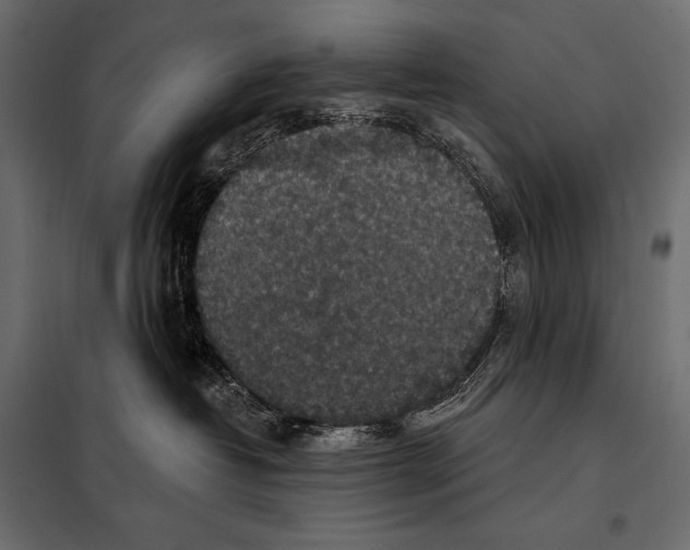 X0000098070382200804251444