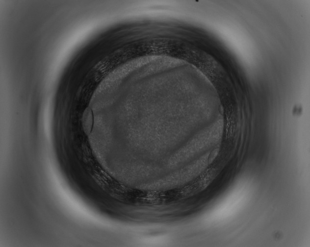 X0000098070383200804251444