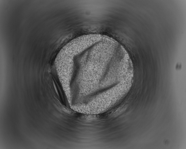 X0000098070384200804251444