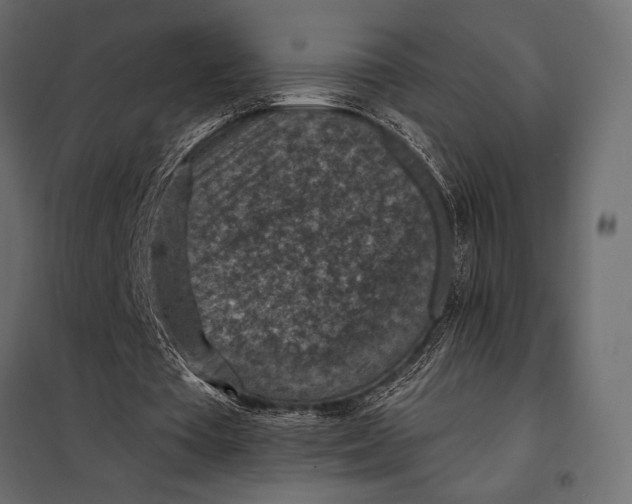 X0000098070385200804251443